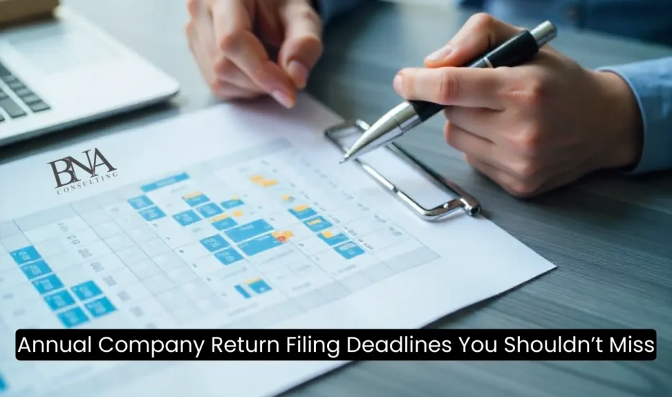 annual company return