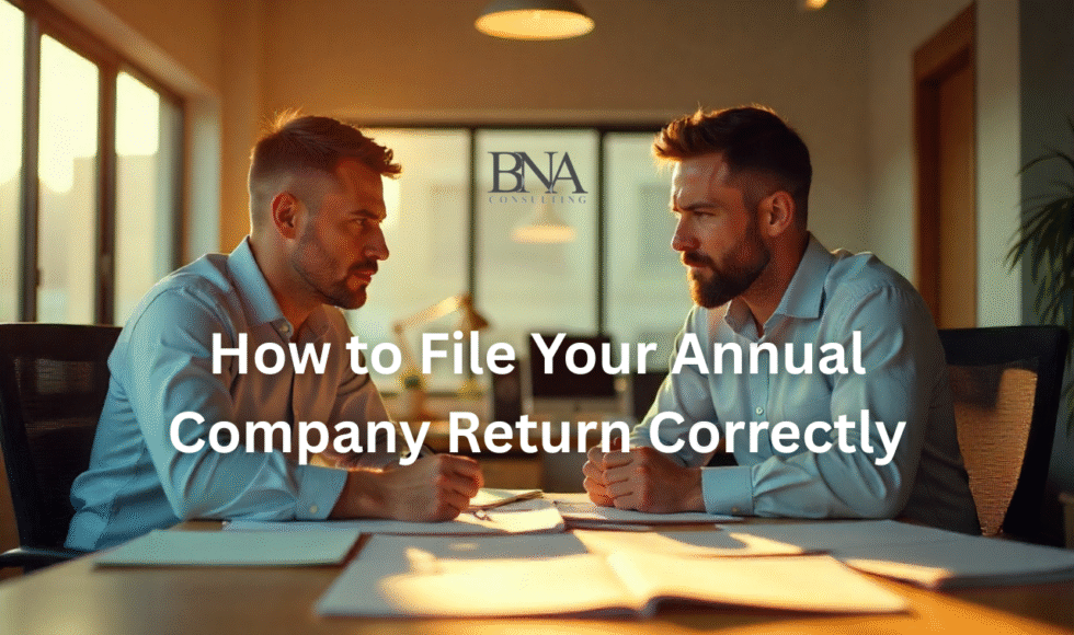 annual company return