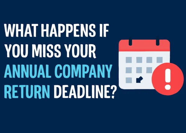 annual company return