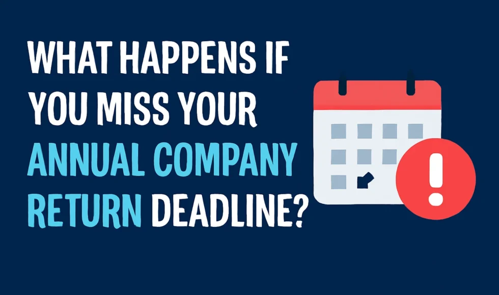 annual company return