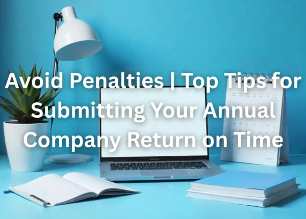 annual company return