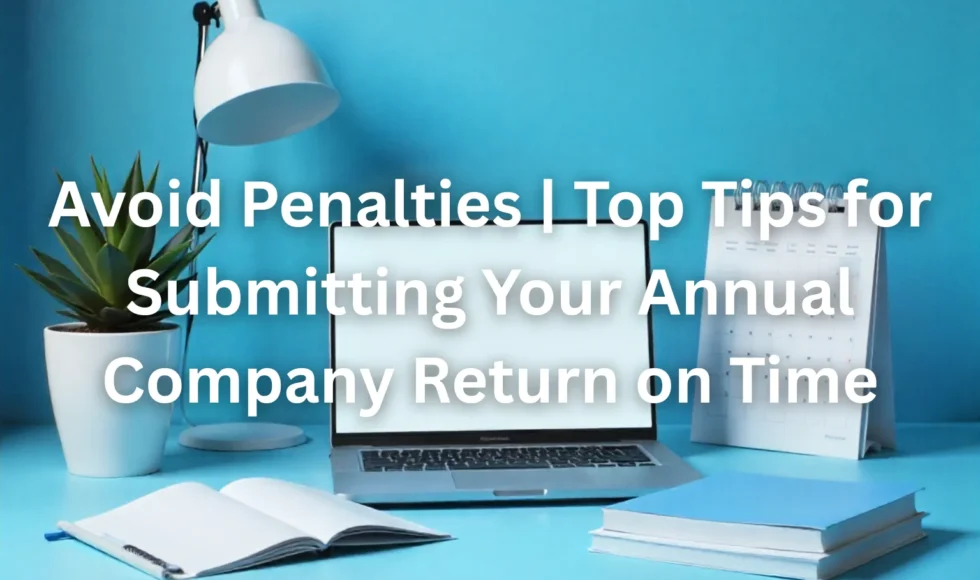 annual company return